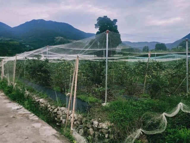 f64c2bbb510ede175d198314d301a438.jpg f64c2bbb510ede175d198314d301a438.jpg